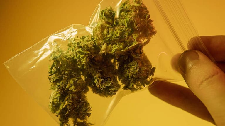 Illegal Marijuana Exporters Thrive In Colorado