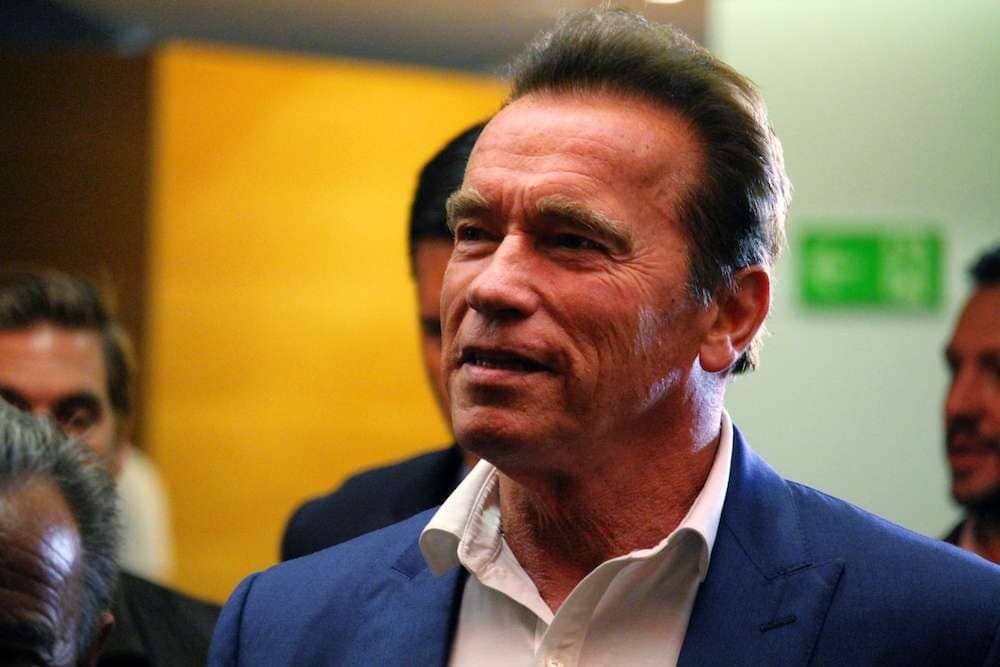 Arnold Schwarzenegger Told Son To Skip Pot, Get High On Life