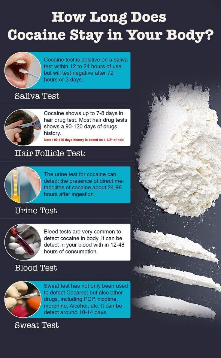 How Long Is Crack in Your System For (Urine, Hair, Saliva) - Answer ...